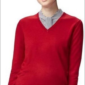 Uniqlo Extra Fine Merino V Neck Sweater